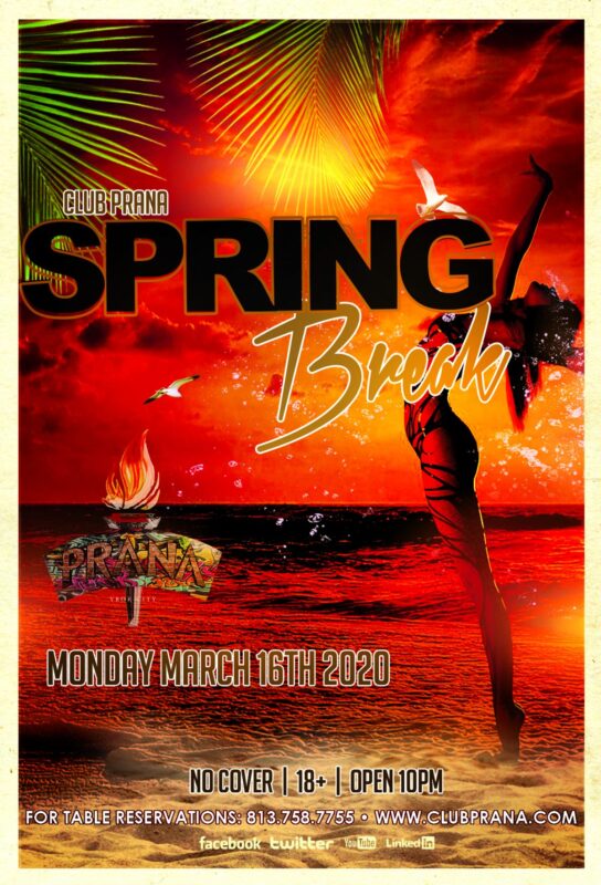 Spring Break: Monday