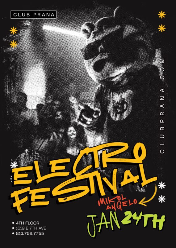 Electro Festival Ft. DJ Mikol Angelo